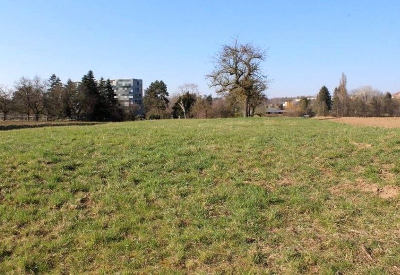 Grünland in Ostfildern - Bild 1