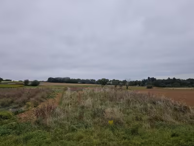land- und forstwirtschaftlich genutztes Grundstück in In den Fünfzehn Morgen, 63454 Hanau, Mittelbuchen - Bild 3