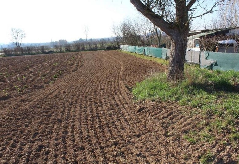 Landwirtschaftsfläche in Ostfildern - Bild 1
