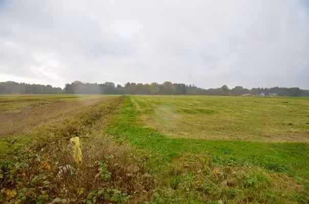 land- und forstwirtschaftlich genutztes Grundstück in Gnarrenburg - Bild 2