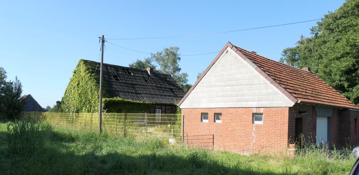 Einfamilienhaus, unbebautes Grundstück, unbebautes Grundstück, Einfamilienhaus in Greven - Bild 1