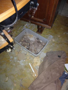 Einfamilienhaus, Garage in Gauting - Bild 3