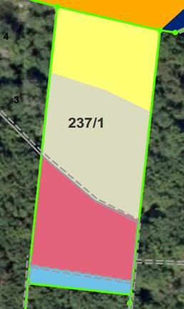 Forstwirtschaftsfläche, ehem. Steinbruch in Pfalzpaint - Bild 2