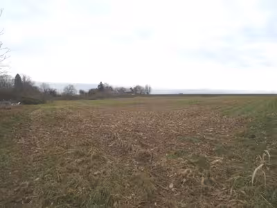 land- und forstwirtschaftlich genutztes Grundstück in - siehe amtliche Bekanntmachung -, 00000 76829 Landau-Wollmesheim - Bild 1