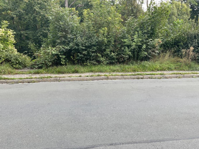 unbebautes Grundstück in Jena - Bild 1