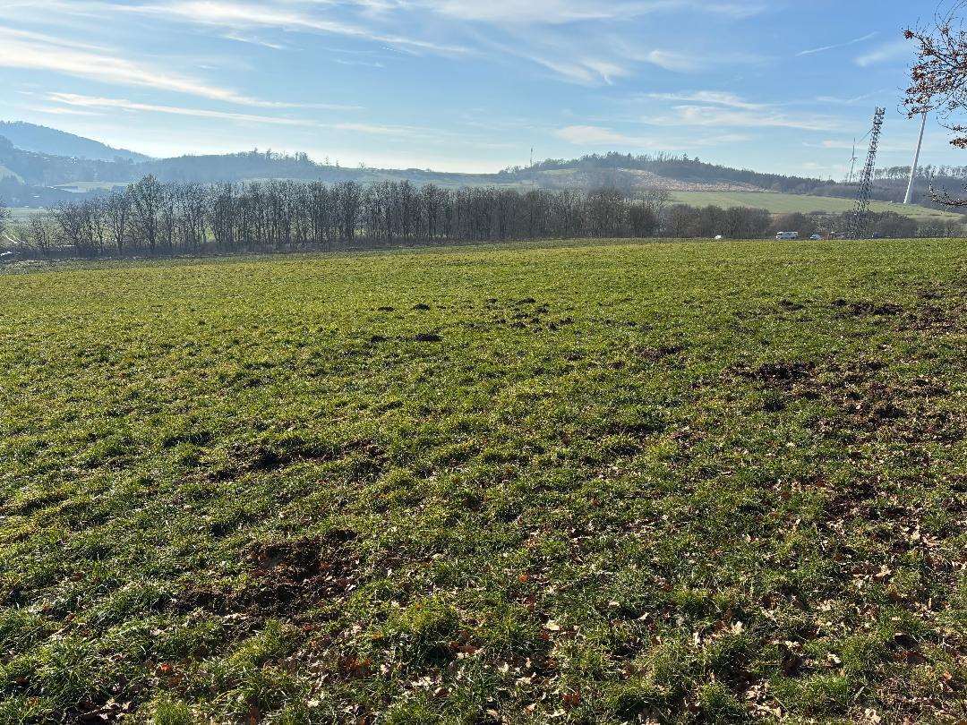 land- und forstwirtschaftlich genutztes Grundstück in Schauenburg - Bild 2