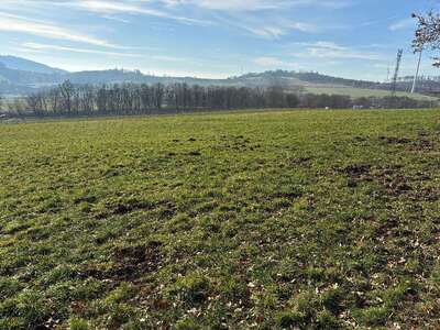 land- und forstwirtschaftlich genutztes Grundstück in Schmollenstück, 34270 Schauenburg, Hoof - Bild 2