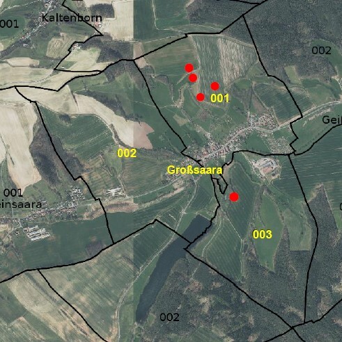land- und forstwirtschaftlich genutztes Grundstück in Saara - Bild 1