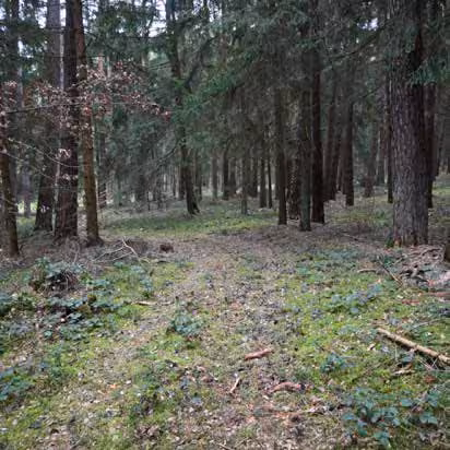 land- und forstwirtschaftlich genutztes Grundstück in Kettenhöfstetten - Bild 1