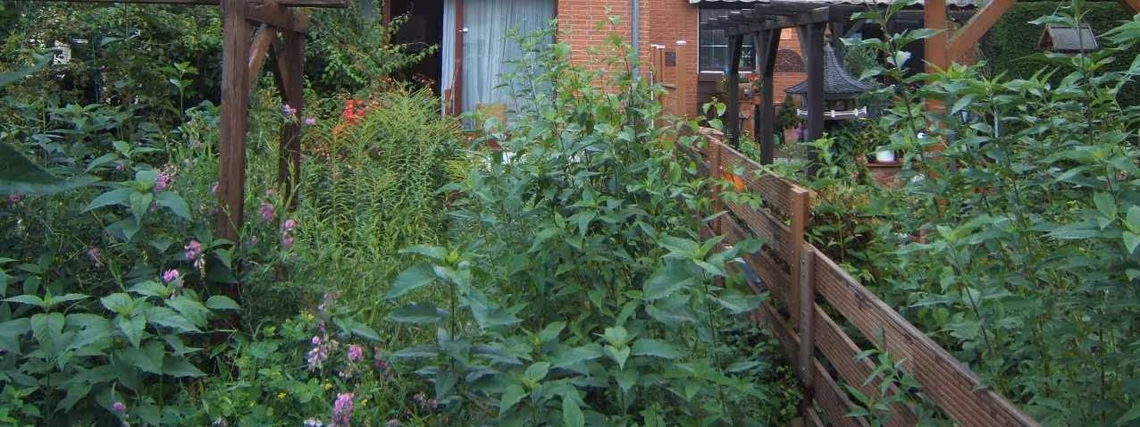Reihenhaus, Garage in Sarstedt - Bild 7