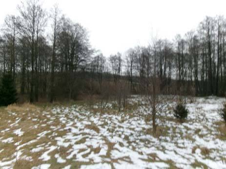 unbebautes Grundstück in Großhartmannsdorf - Bild 2