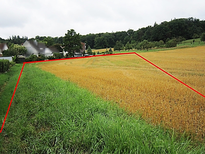Landwirtschaftsfläche in , 73230 Kirchheim unter Teck - Bild 1