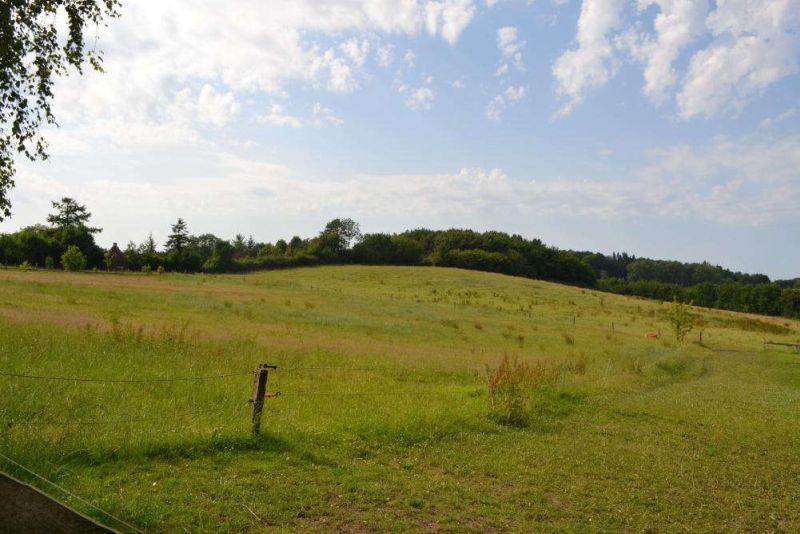 Wohn-/Wirtschaftsgebäude und Landwirtschaftsfläche in Panker - Bild 3