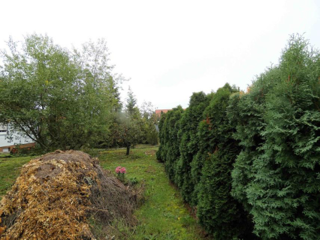 Sonstiges in Arnstadt - Bild 4