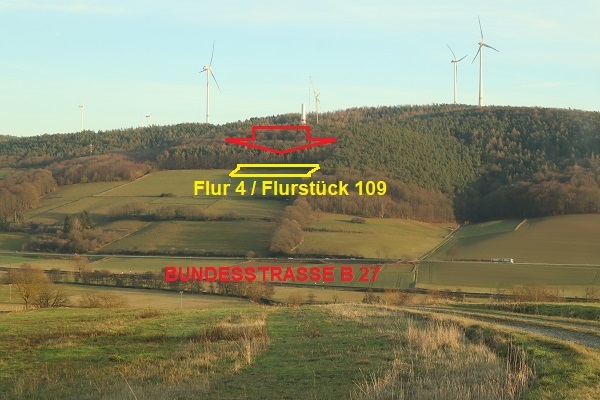 land- und forstwirtschaftlich genutztes Grundstück in Mauers - Bild 2