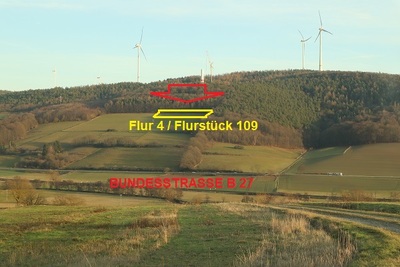 land- und forstwirtschaftlich genutztes Grundstück in Der Schillersberg, 36166 Mauers - Bild 2