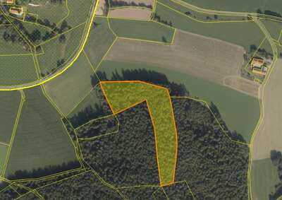 Waldfläche, Verkehrsfläche in Am Berg, 92685 Floß - Bild 1