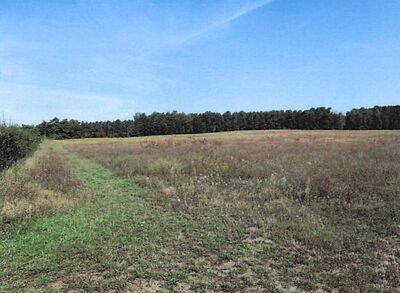 Landwirtschaftsfläche und Hundeübungsplatz in Leieweg, 15890 Eisenhüttenstadt OT Diehlo - Bild 2