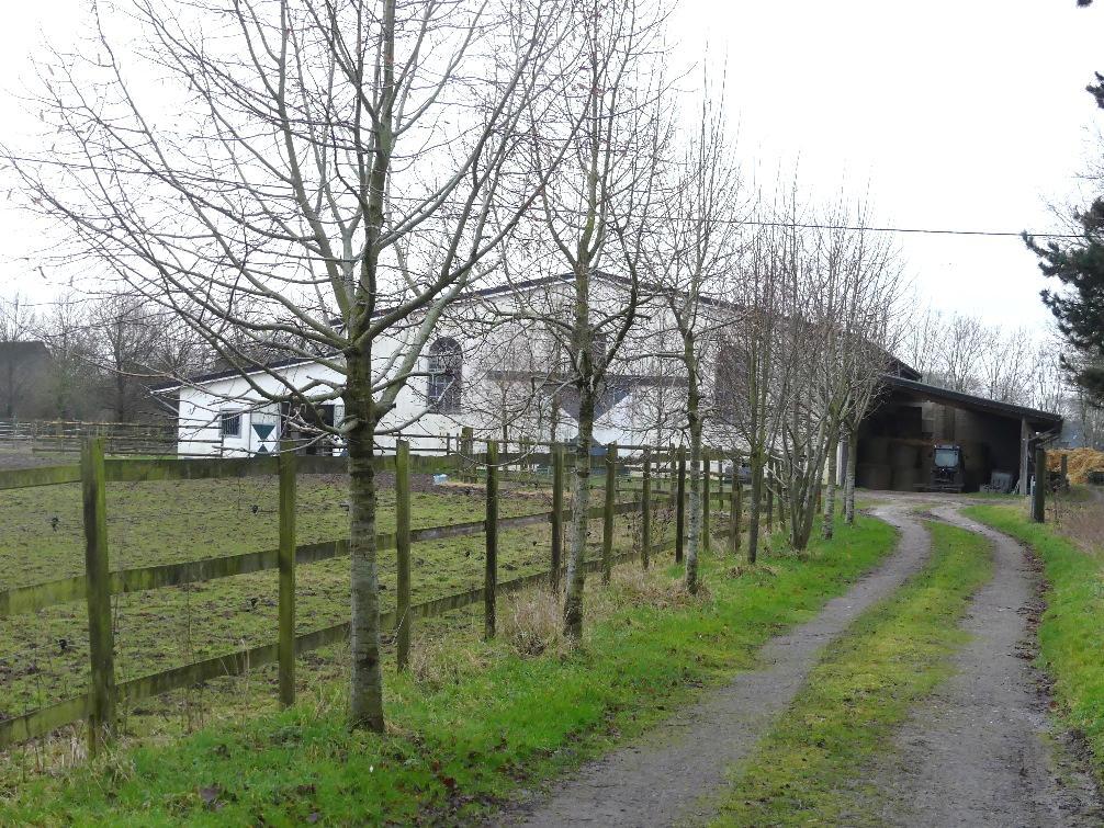 Baugrundstück, Einfamilienhaus, ehemaliges landwirtschaftl. Anwesen bestehend aus einem , Nebengebäuden, Stalltrakt, Bewegungshalle, Weidegrundstücken, in Alpen - Bild 2