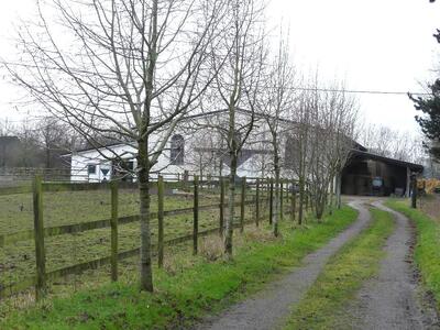 Baugrundstück, Einfamilienhaus, ehemaliges landwirtschaftl. Anwesen bestehend aus einem , Nebengebäuden, Stalltrakt, Bewegungshalle, Weidegrundstücken, in Mooßweg 7, 46519 Alpen, Menzelen - Bild 2