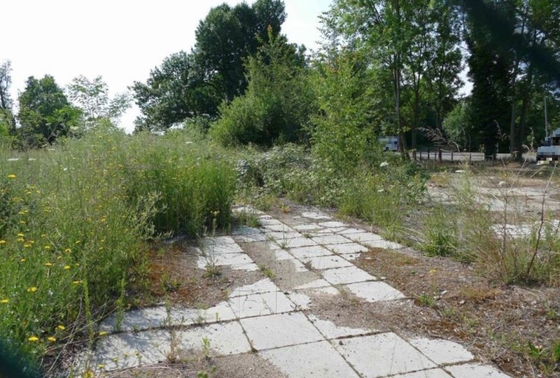Grundstück in Gommern - Bild 2