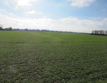 landwirtschaftlich genutzte Grundstücke in Düsseldorf - Bild 3
