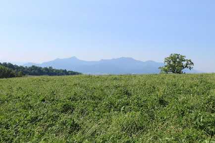 Landwirtschaftsfläche in Rimsting - Bild 1