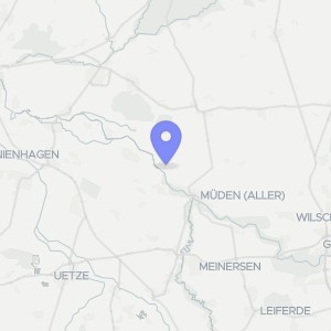Karte von Birkenweg 18, 29364 Langlingen