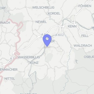 Karte von Heiligkreuzer Straße  21, 23, 54290 Trier