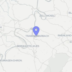 Karte von An der Wolfer Mühle (Maiweg) 21, 56841 Traben-Trarbach, Wolf