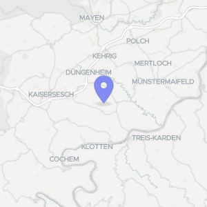 Karte von Pfaffenhausener Straße  11, 56754 Forst (Eifel)