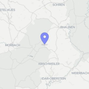 Karte von Einfamilienhaus, Stall-/Scheunengebäude, Garage, Holzschuppen, lfd. Nr. 2: unbebaut (Wiese): In der Treib 6, 55758 Asbach