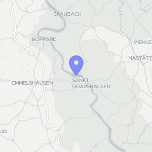 Karte von Alte Heerstraße  107, 56329 Sankt Goar, Fellen