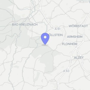 Karte von Böllerweg 4, 00000 Wonsheim