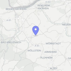 Karte von Auf dem Schleich  10, 00000 Sankt Johann (Rheinhessen)