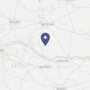 Karte von Dalmer Weg 39, 59510 Lippetal