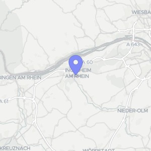 Karte von In der Dörrwiese, 00000 Ober-Ingelheim