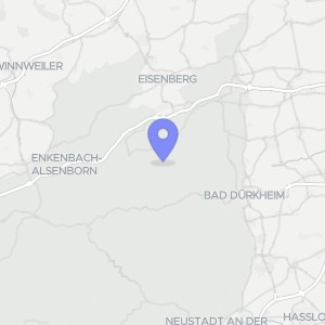 Karte von Am Klosterberg 20, 67317 Altleiningen