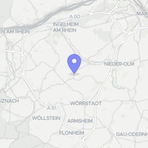 Karte von Silvanerstraße 14, 55270 Jugenheim