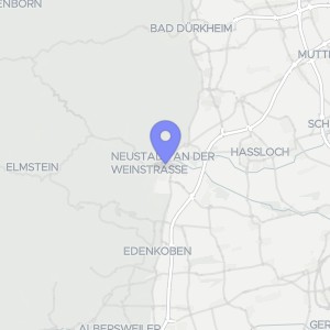 Karte von Friedrich-Ebert-Straße  1, 67433 Neustadt an der Weinstraße