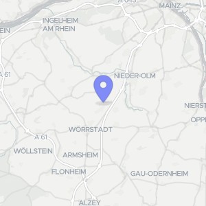 Karte von Am Renzinger, 00000 Ober-Saulheim