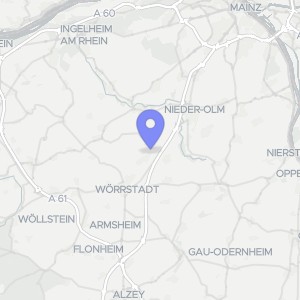 Karte von Auf der Angewann, 55291 Saulheim