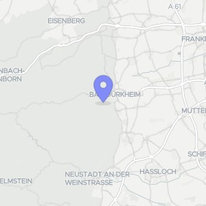 Karte von Hammelstalstraße 30, 67098 Bad Dürkheim, Seebach