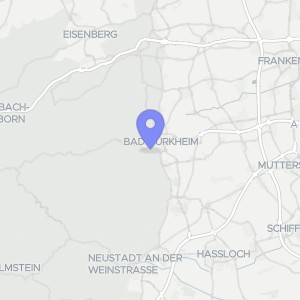 Karte von Schillerstraße 91, 67098 Bad Dürkheim