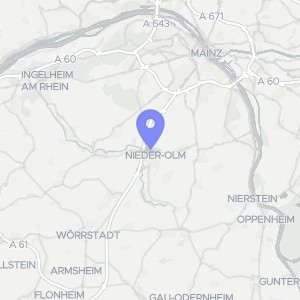 Karte von Ingelheimer Straße 2 A, 2 B, 55268 Nieder-Olm