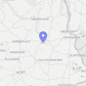 Karte von Dr.-De-Millas-Straße 42, 55278 Undenheim