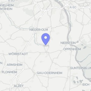 Karte von An der Pfingstweide 31, 55278 Hahnheim