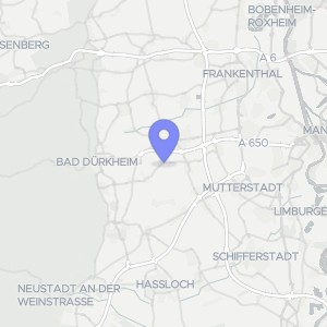 Karte von Fließstraße 38, 67158 Ellerstadt