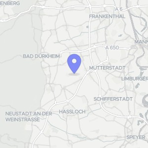 Karte von Hauptstraße 29, 67127 Alsheim-Gronau