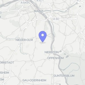 Karte von Schloßstraße 42, 55296 Lörzweiler